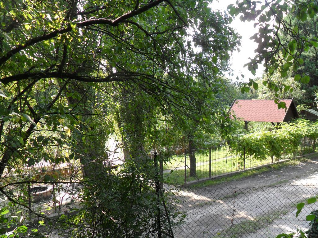 Ikerdio Fahaziko Villa Szarvas Buitenkant foto